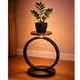 Light__Owesco